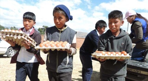 BOLIVIA_COMEDORES SA.jpg